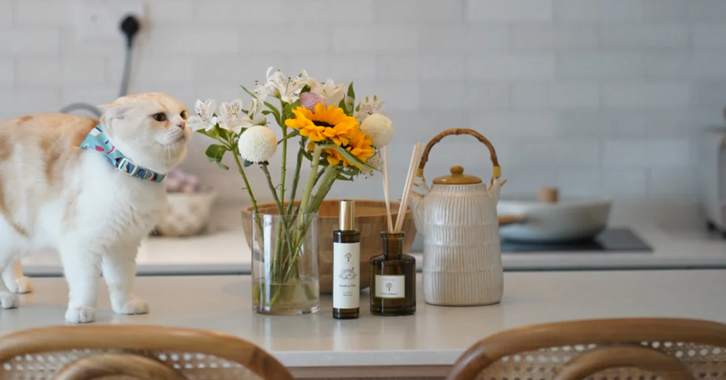 Child &amp; Pet Friendly Diffusers You’ll Love