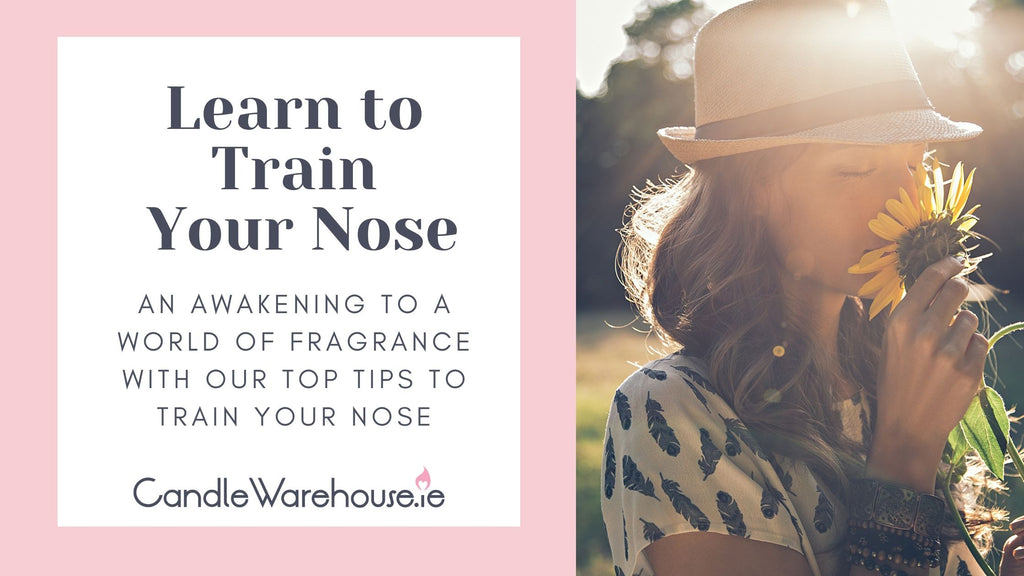 Learn To Train Your Nose